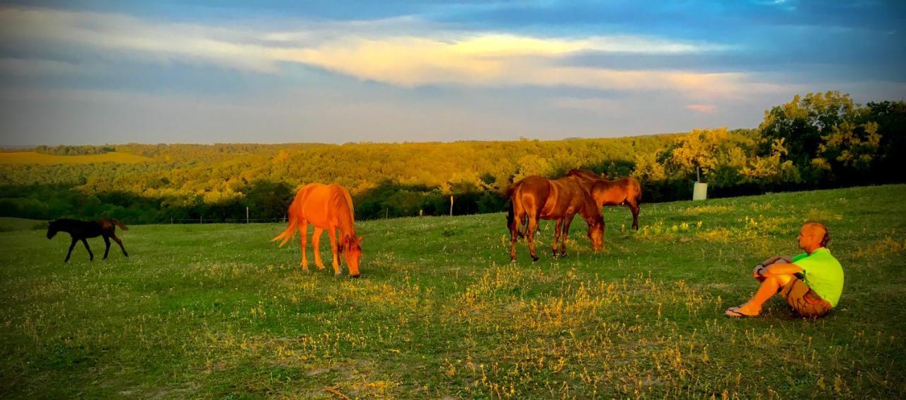 שיופוק Dharma Horse Shelter Bungalows & Farmping מראה חיצוני תמונה
