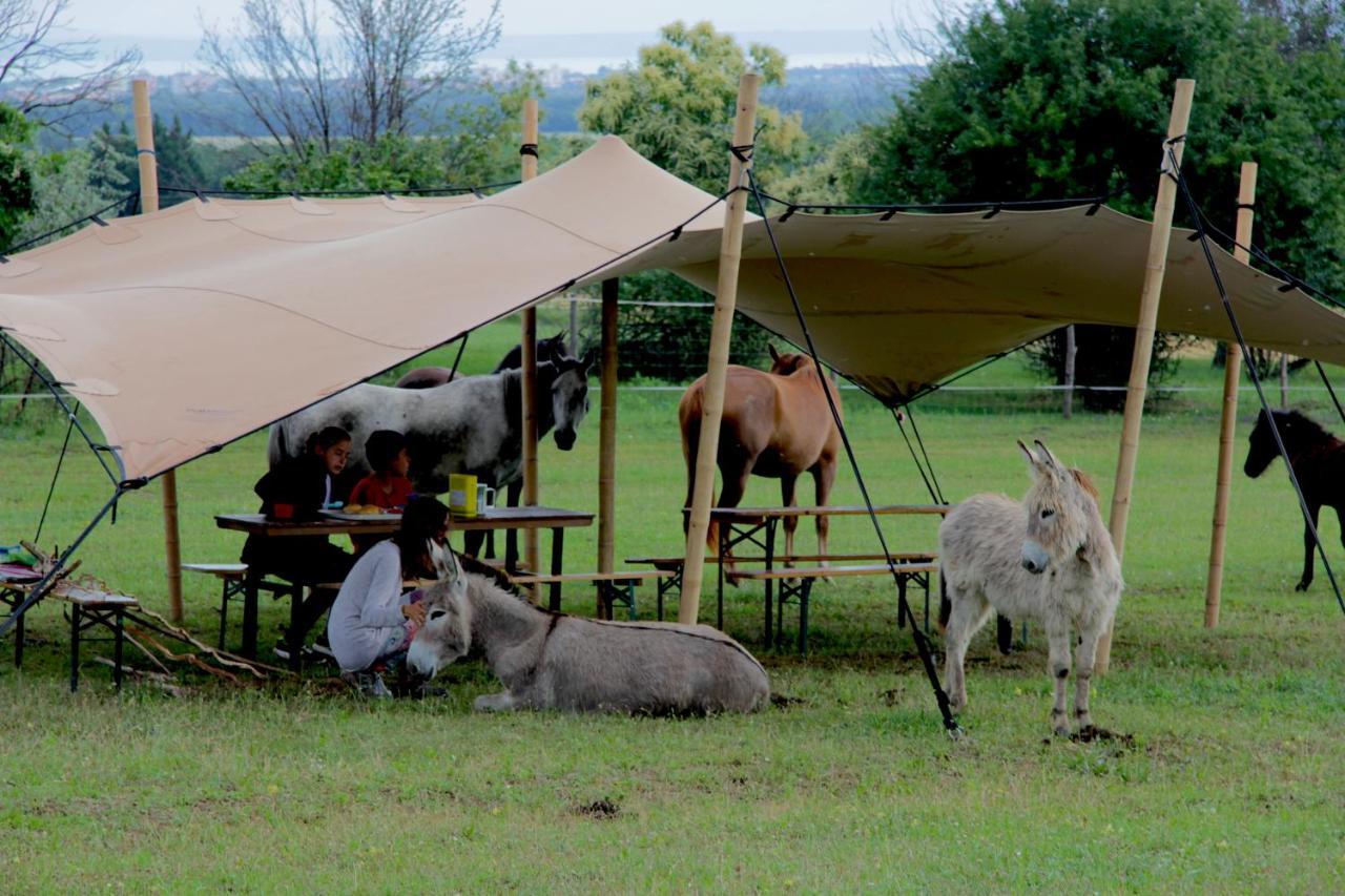שיופוק Dharma Horse Shelter Bungalows & Farmping מראה חיצוני תמונה