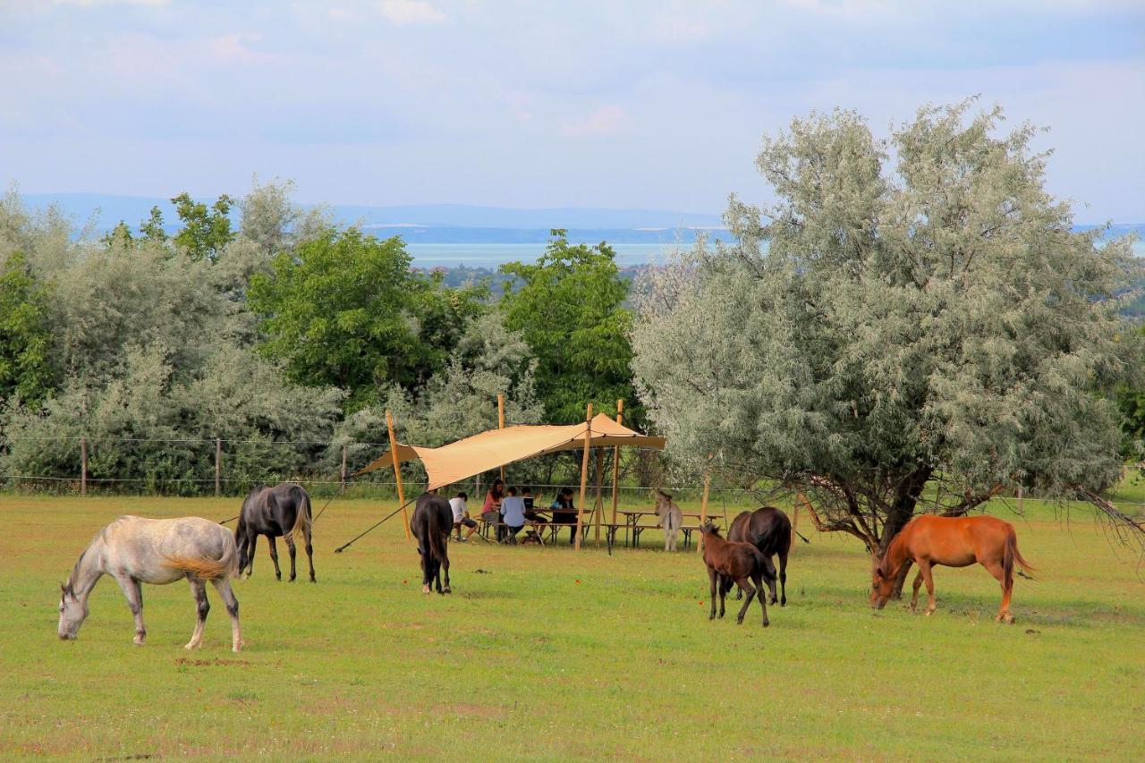 שיופוק Dharma Horse Shelter Bungalows & Farmping מראה חיצוני תמונה