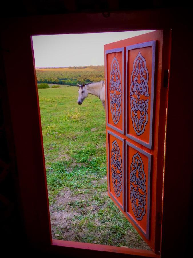 שיופוק Dharma Horse Shelter Bungalows & Farmping מראה חיצוני תמונה